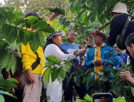 Kopi Gunung Gambar, dari Situs Sejarah Menuju Sentra Kopi Gunungkidul